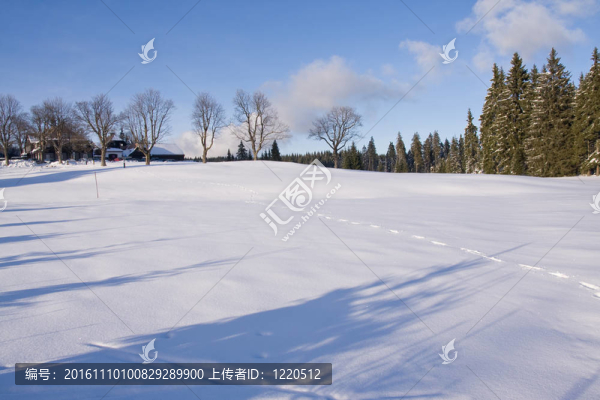 山上的新鮮雪