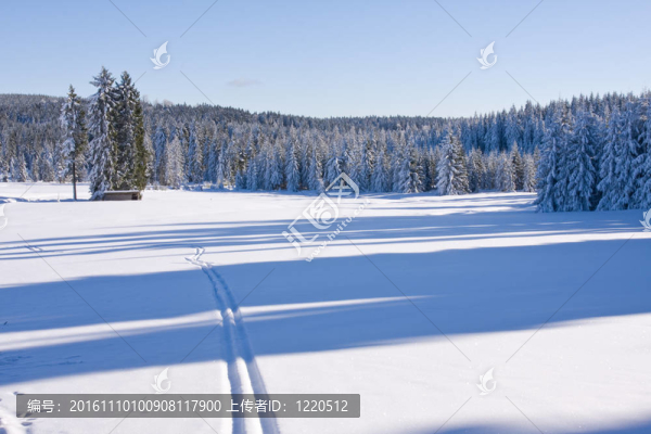 山上的新鮮雪-匯圖網(wǎng) www.fosd68.com 山上的新鮮雪