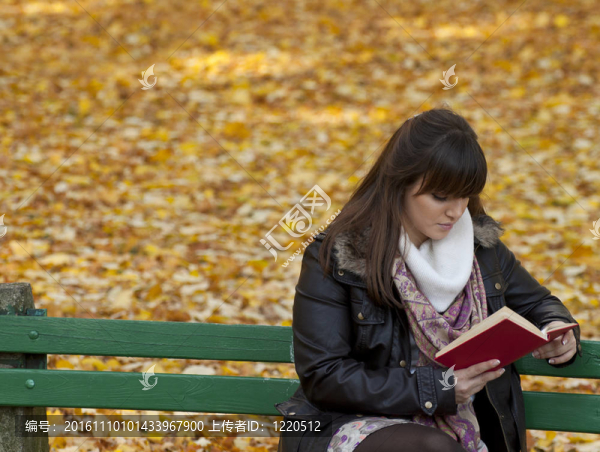 美麗的年輕女子看書