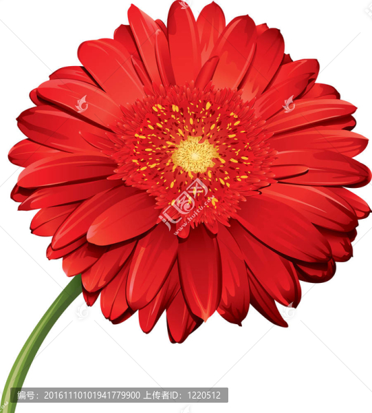 詳細(xì)的花-匯圖網(wǎng) www.fosd68.com 詳細(xì)的花