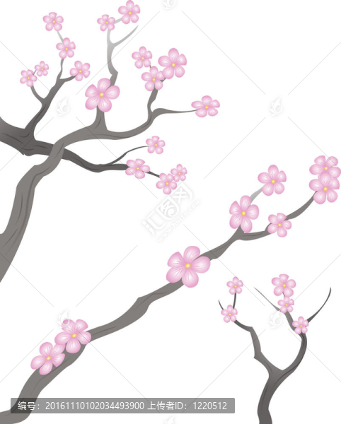 櫻花
