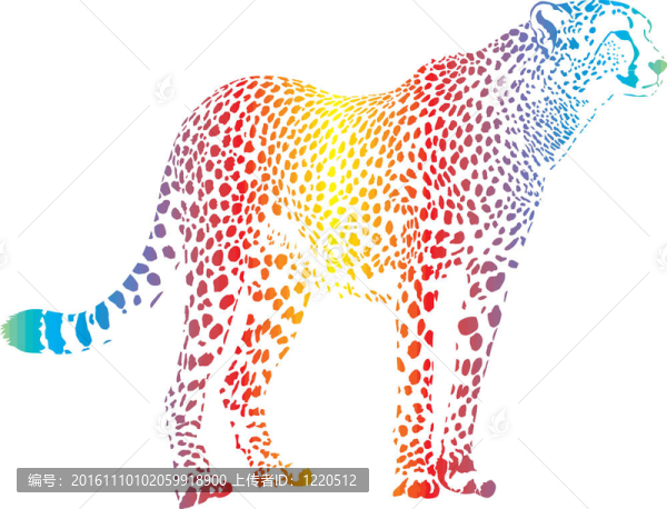 摘要彩虹獵豹