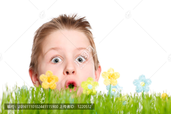 驚訝男孩的春天肖像