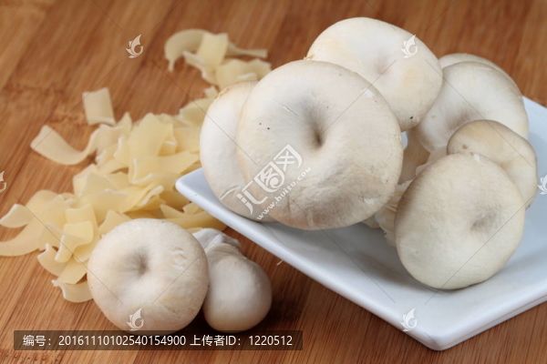 牡蠣木耳