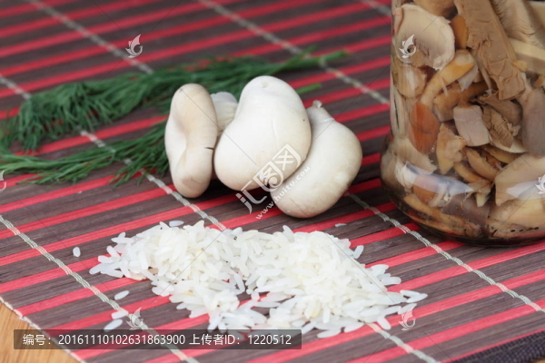 蘑菇