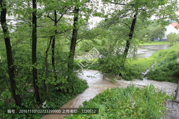 洪水