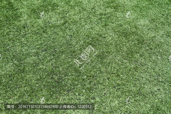人工草地-匯圖網(wǎng) www.fosd68.com 人工草地