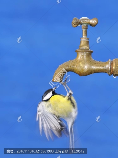 不是一滴水。