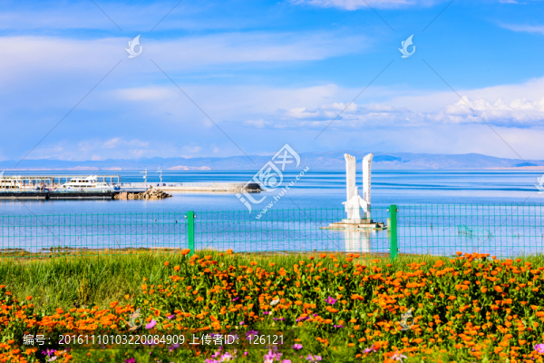 青海湖風光