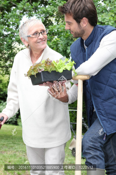 母親與兒子園藝