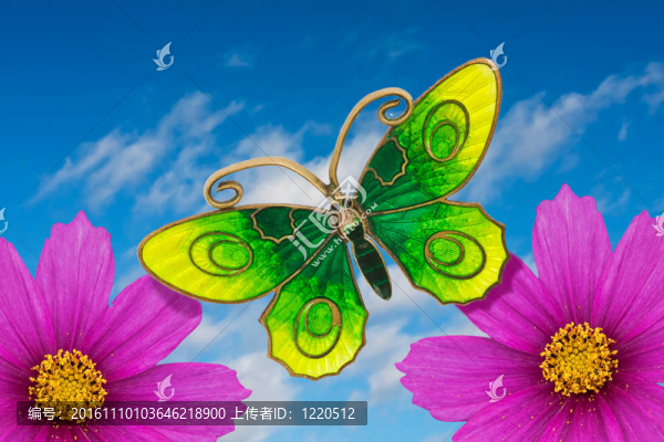 蝴蝶和鮮花