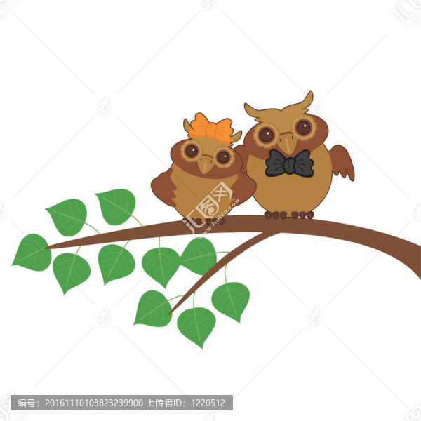 兩個(gè)漂亮的貓頭鷹在樹上