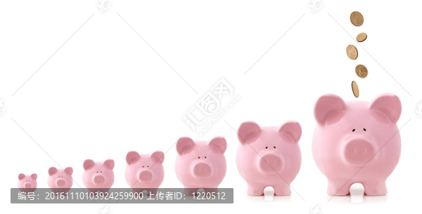投資增長-,Piggy,Banks