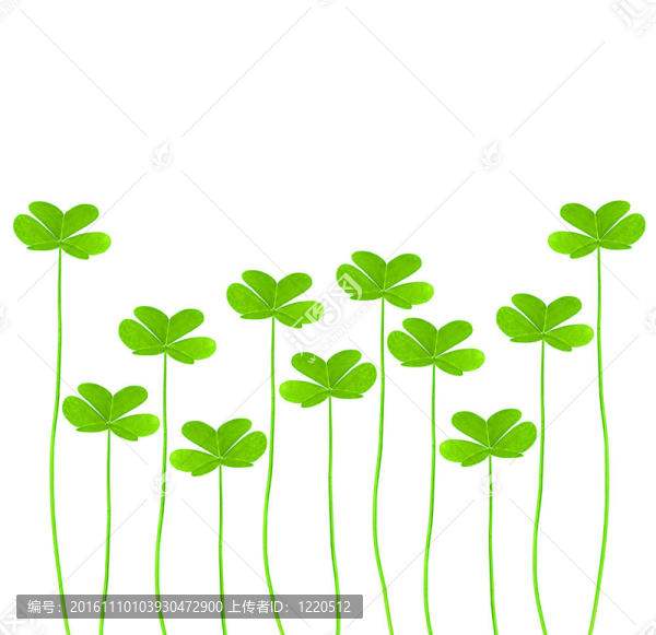 新鮮的草綠色