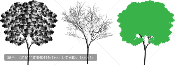 樹的剪影