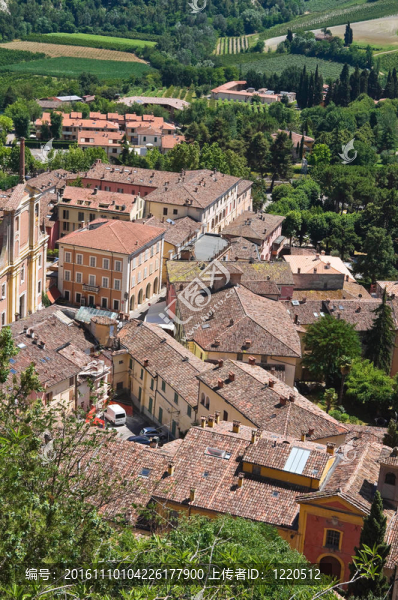 今年的全景。Emilia,Romagna。意大利.