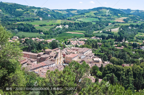 今年的全景。Emilia,Romagna。意大利.