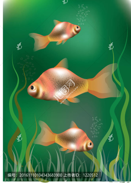 魚(yú)的背景