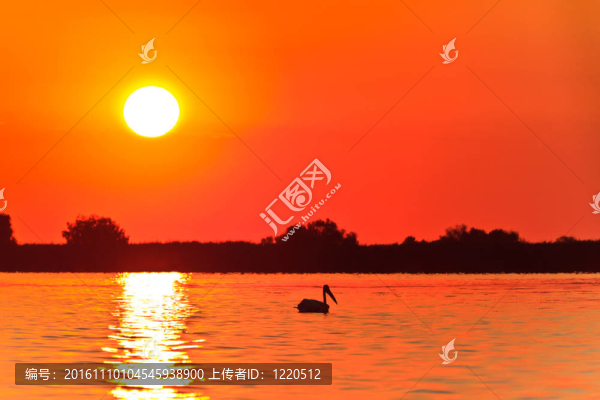 多瑙河三角洲的日出