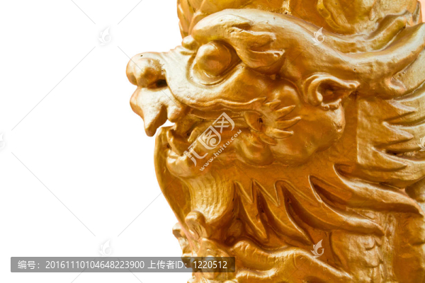 黃金龍支柱孤立