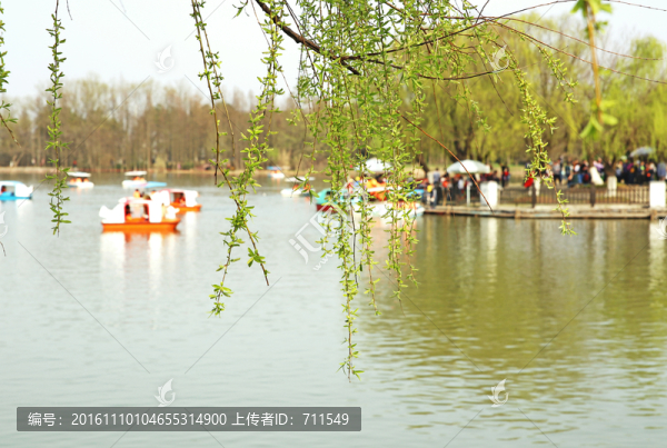 合肥植物園春景