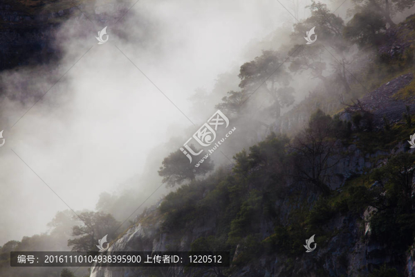 霧在科利亞多斯德爾ASON的天然公園；坎塔布里亞；西班牙