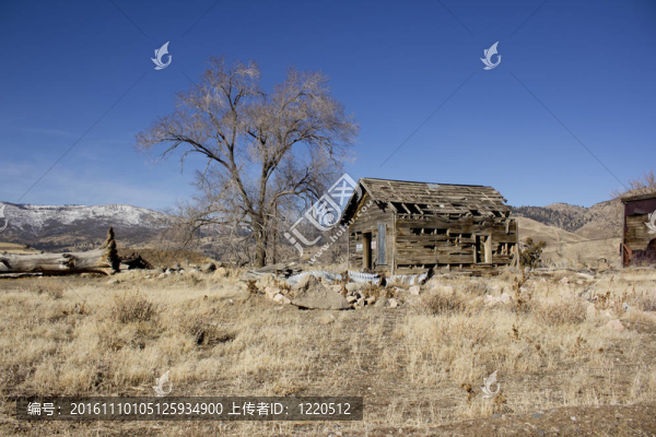 廢棄的老delapitating小屋