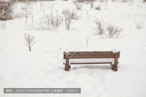 長椅上的野餐現場覆蓋