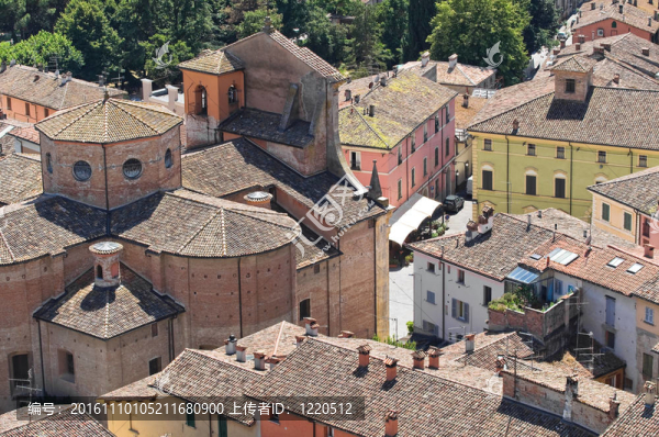 今年的全景。Emilia,Romagna。意大利.