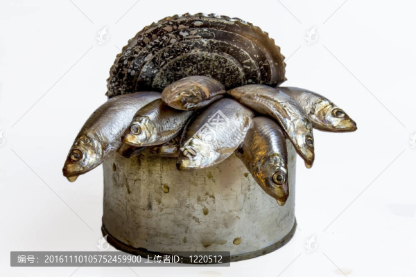 打開一個舊錫罐鳳尾魚