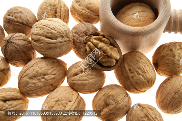 核桃和胡桃?jiàn)A子