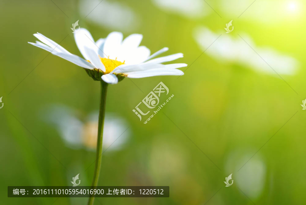 戴茜在現(xiàn)場