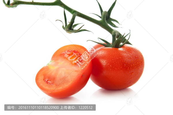 西紅柿的白