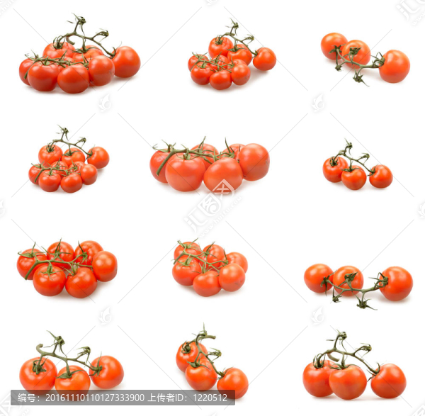 把西紅柿
