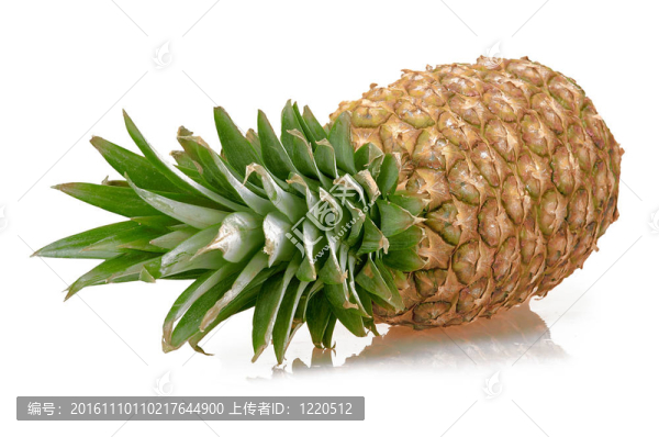 菠蘿分離
