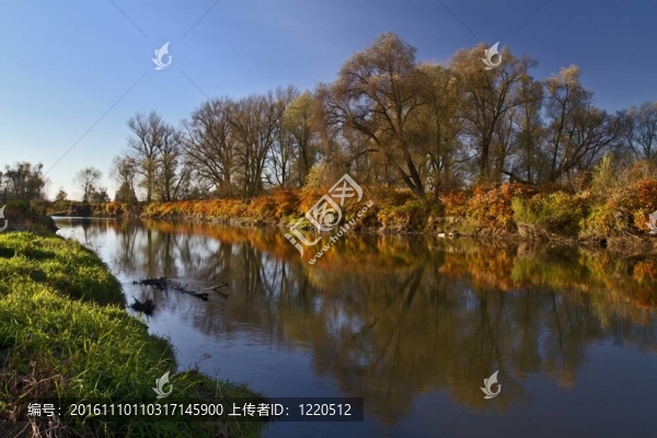 秋河