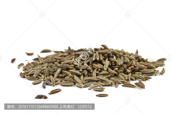 小茴香籽