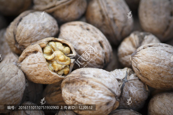 關(guān)閉了核桃