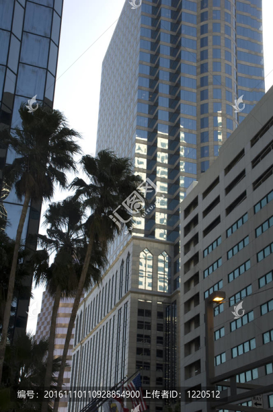 坦帕市區(qū)；佛羅里達(dá)州