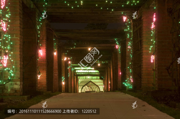 俄亥俄之光