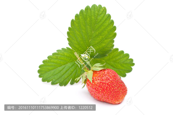 新鮮青草莓