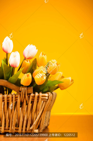 桌上五顏六色的郁金香花束