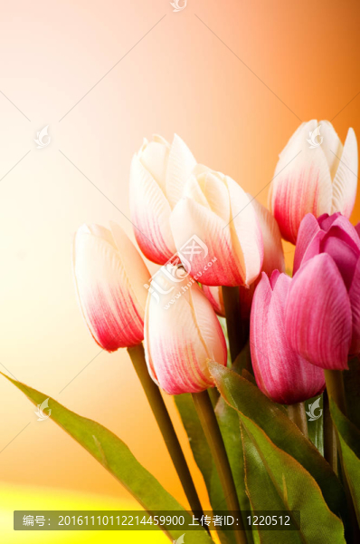 桌上五顏六色的郁金香花束