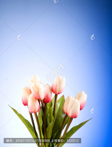 桌上五顏六色的郁金香花束