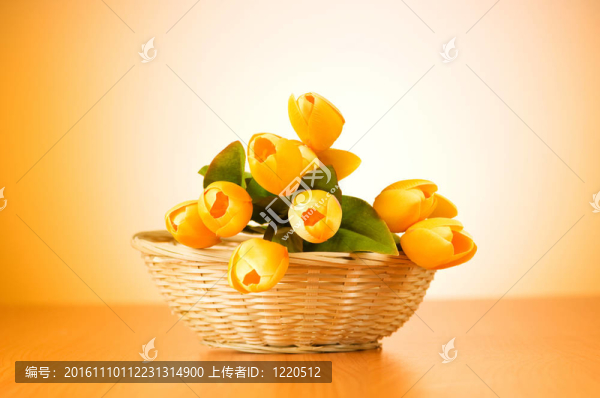 桌上的一束郁金香