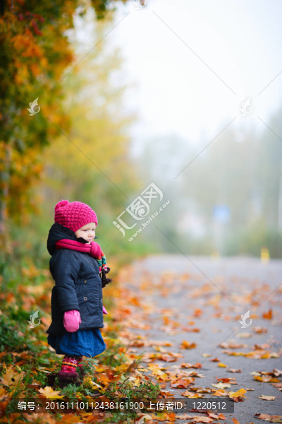 霧蒙蒙的秋日