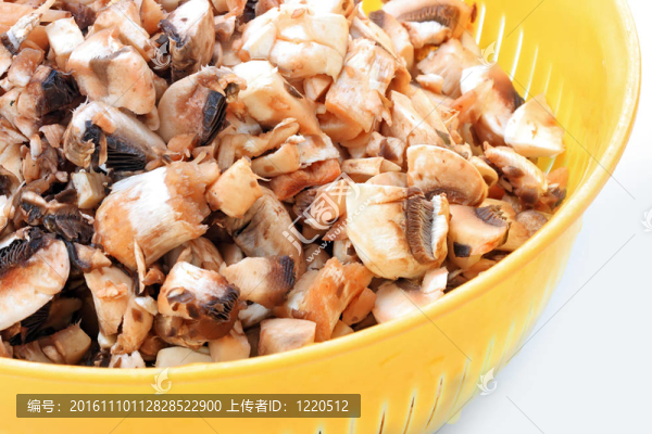 鮮蘑菇