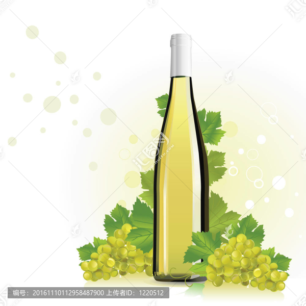 葡萄酒；有葡萄的香檳酒瓶