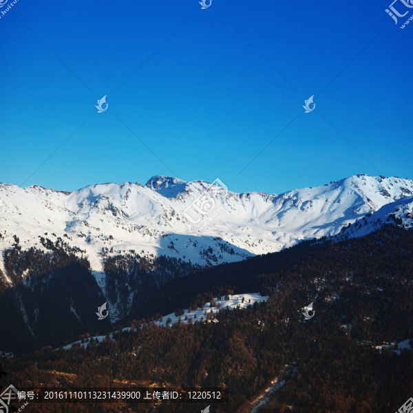 頂山