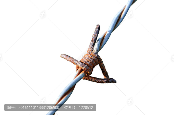 鐵絲網(wǎng)